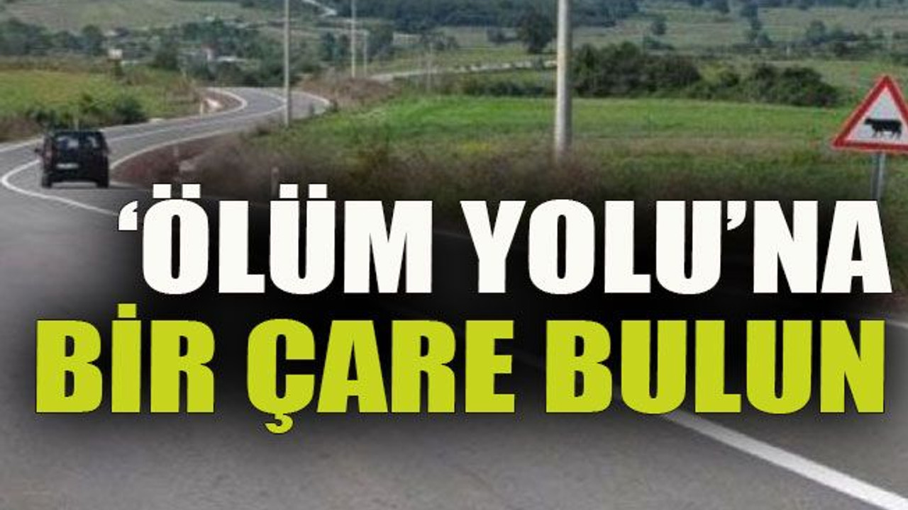 ‘Ölüm yolu’na bir çare bulun