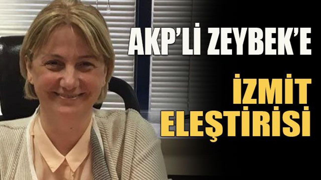 AKP’li Zeybek’e İzmit eleştirisi