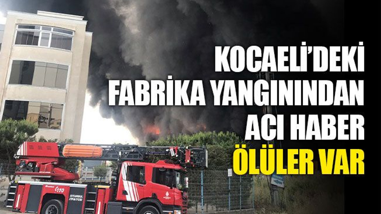 Kocaeli'deki fabrika ve depo yangınında ölü sayısı 5'e çıktı