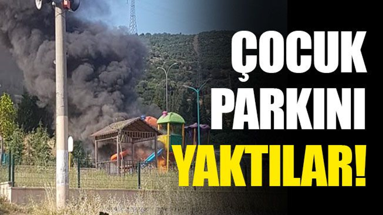 Çocuk parkını yaktılar!