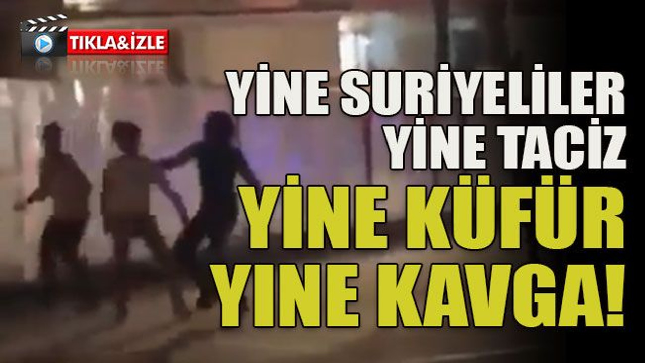 Yine Suriyeliler yine taciz yine küfür yine kavga!