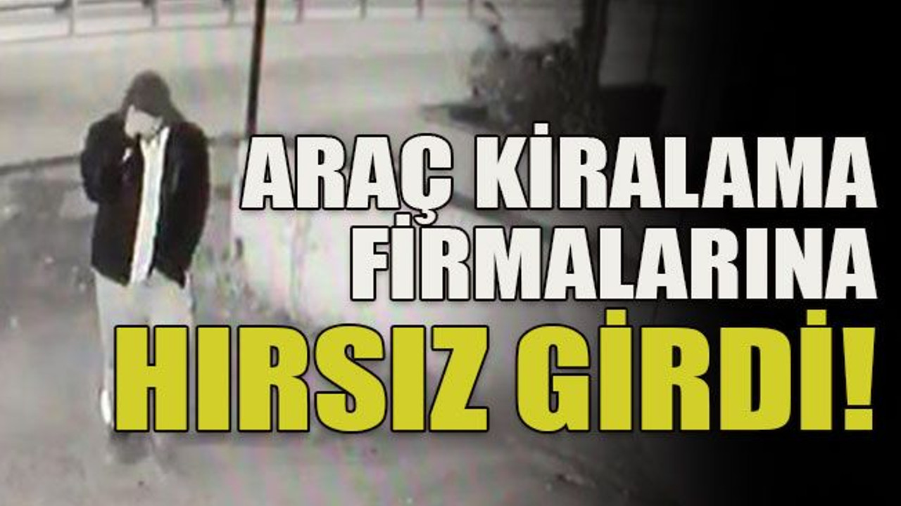 Araç kiralama firmalarına hırsız girdi!