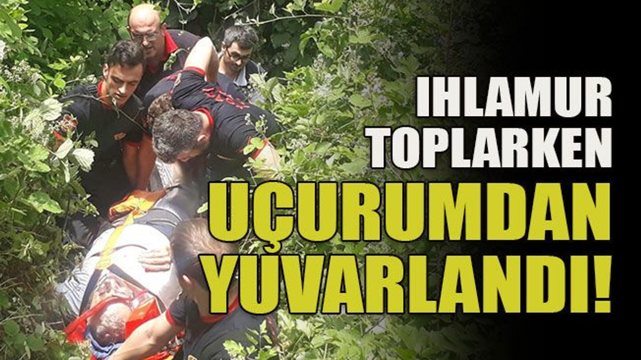 Ihlamur toplarken uçurumdan yuvarlandı!