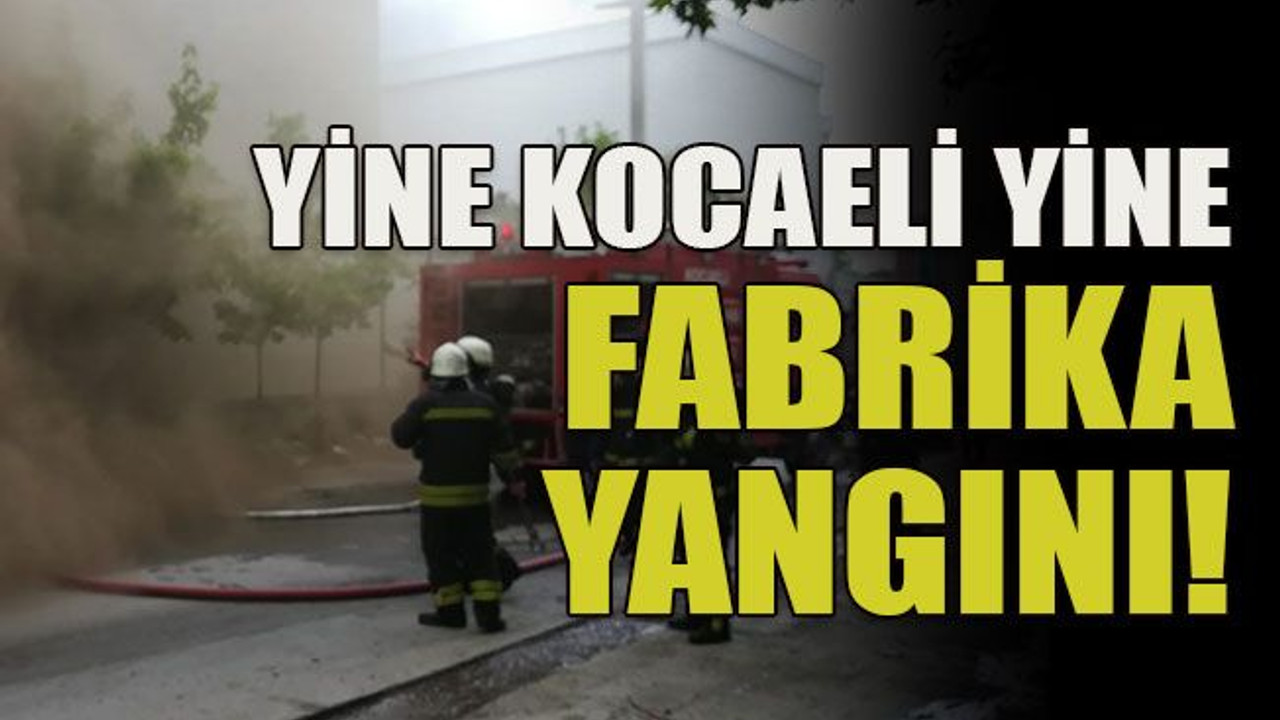 Yine Kocaeli yine fabrika yangını!