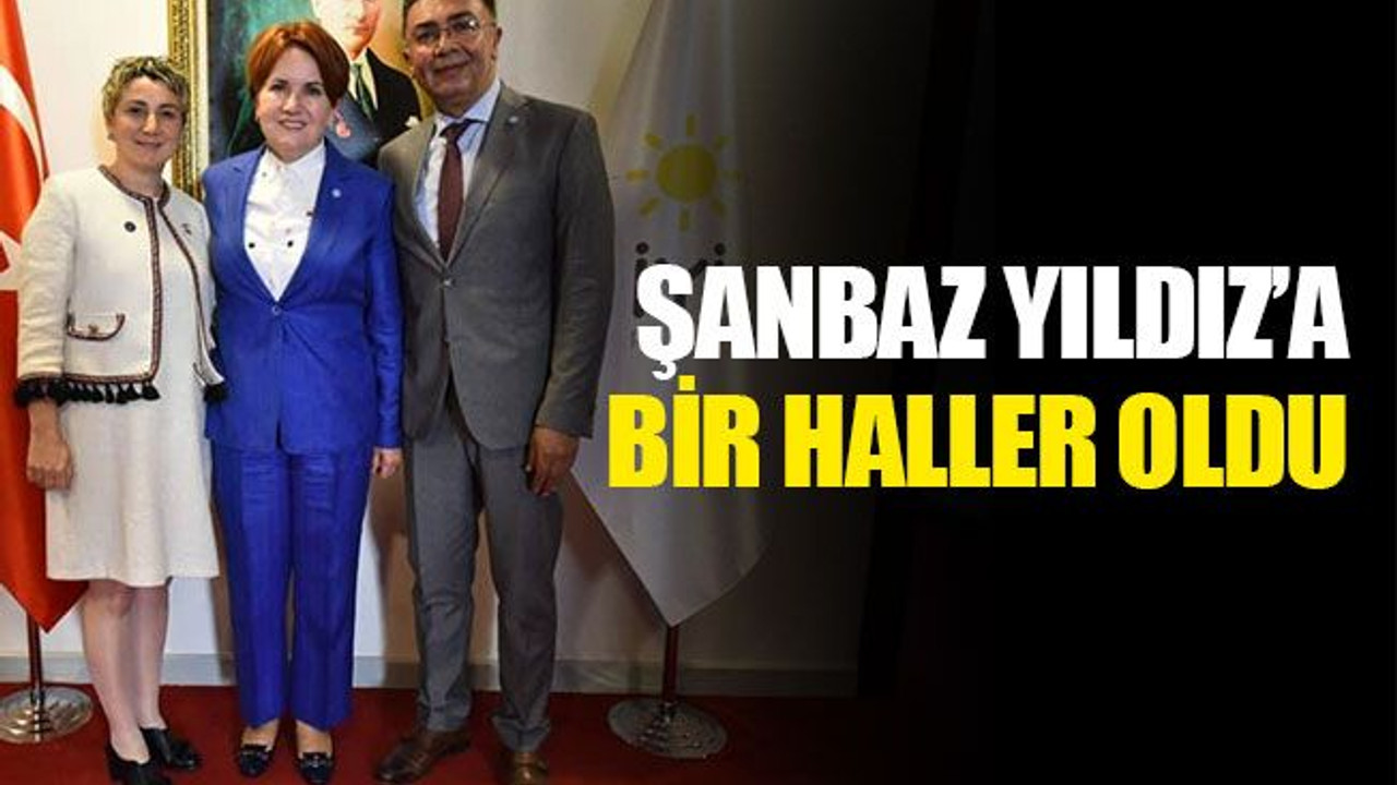 Şanbaz Yıldız’a bir haller oldu