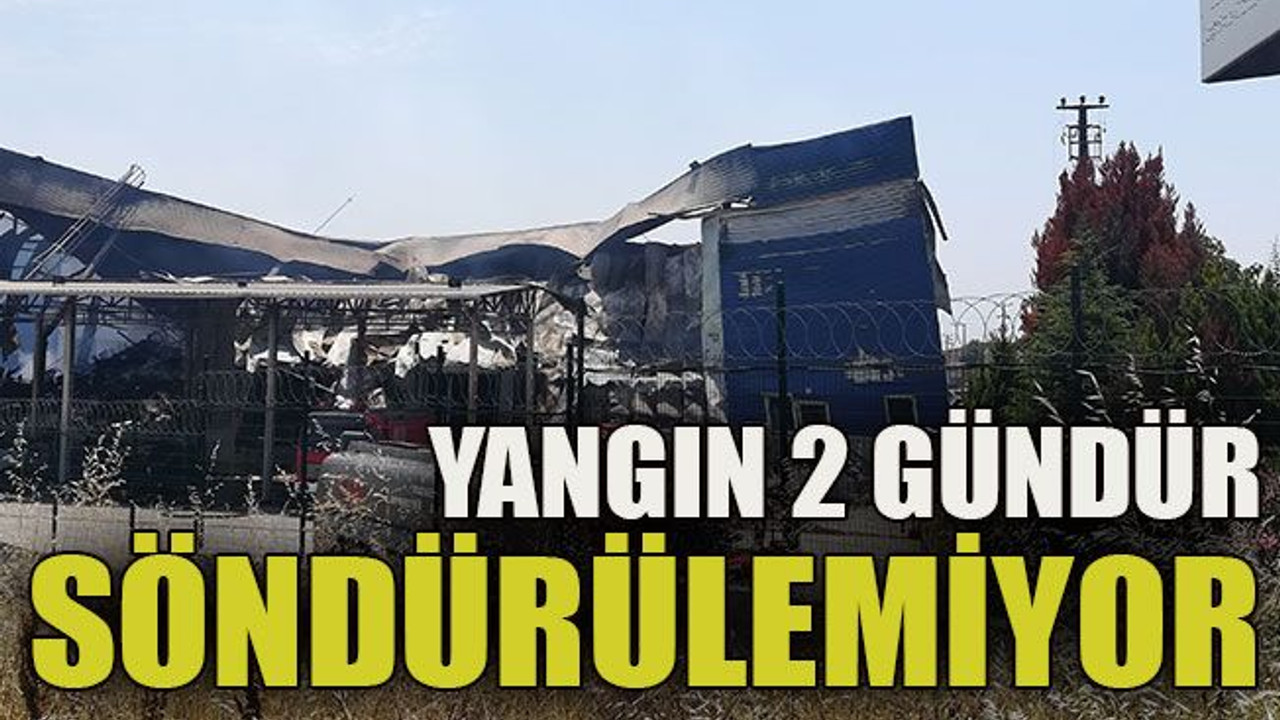 Yangın 2 gündür söndürülemiyor