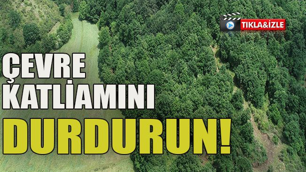 Çevre katliamını durdurun!