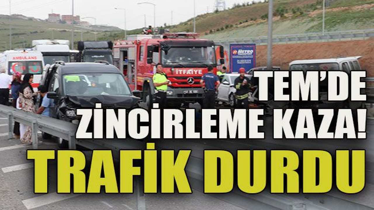 TEM’de zincirleme kaza! Trafik durdu