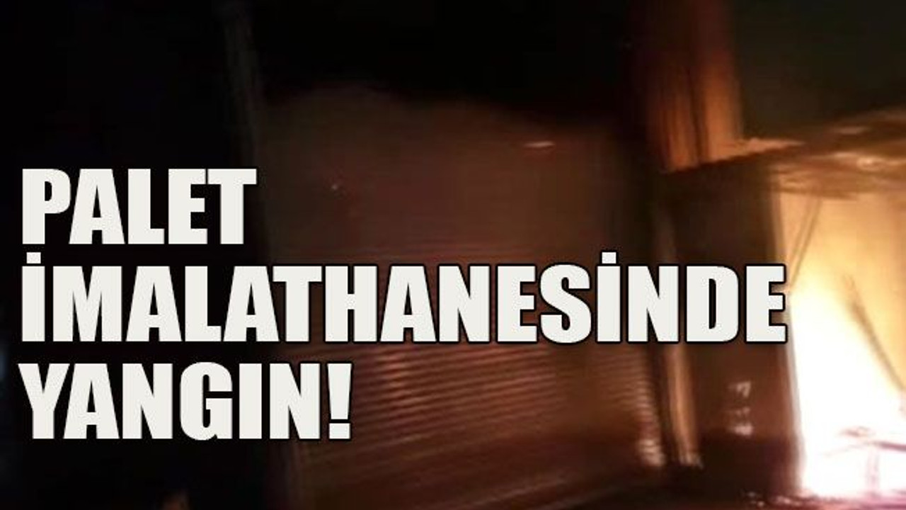 Palet imalathanesinde yangın!