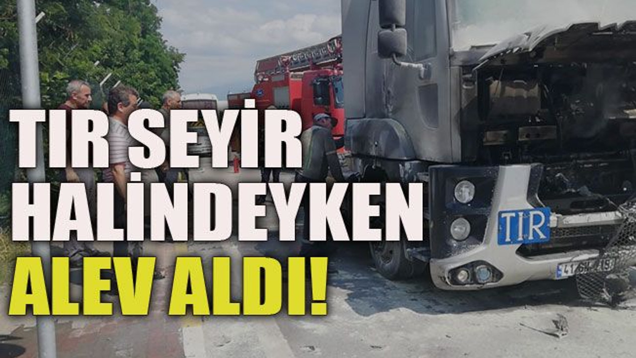 TIR seyir halindeyken alev aldı!