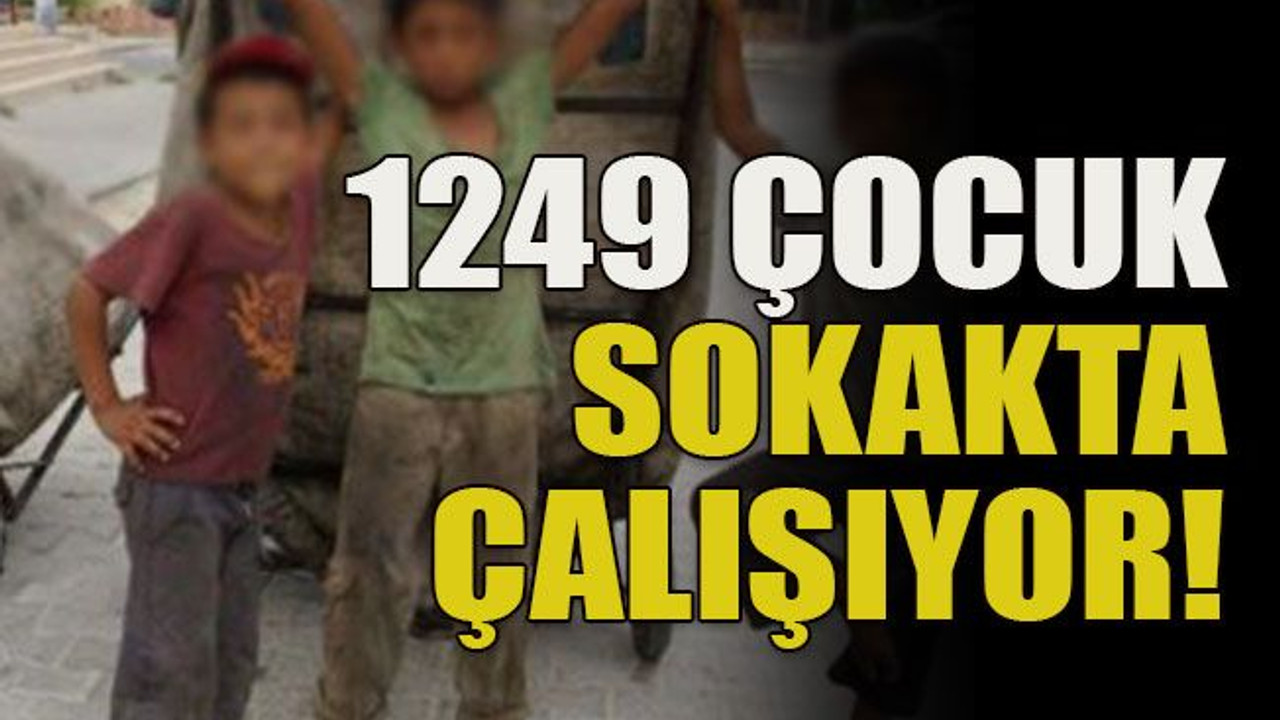1249 çocuk sokakta çalışıyor!