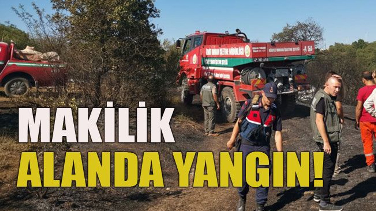 Makilik alanda yangın!