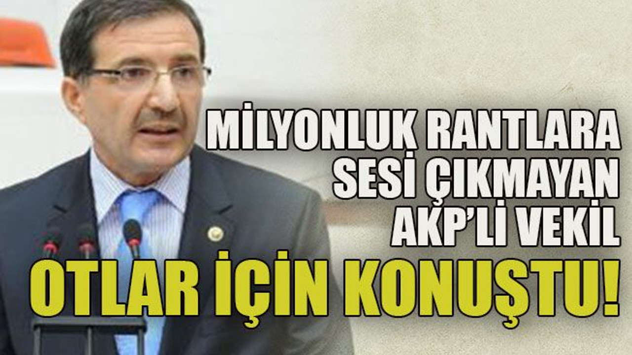 Milyonluk rantlara sesi çıkmayan AKP’li vekil otlar için konuştu!