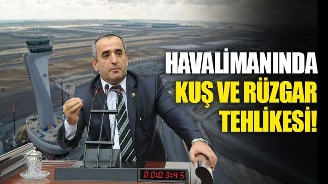 Havalimanında kuş ve rüzgar tehlikesi!