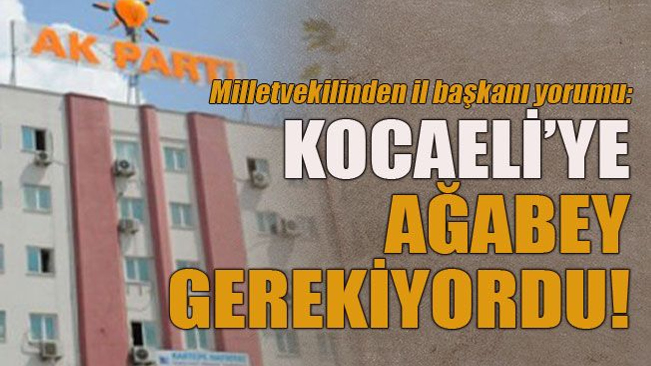 Milletvekilinden il başkanı yorumu: Kocaeli’ye ağabey gerekiyordu!