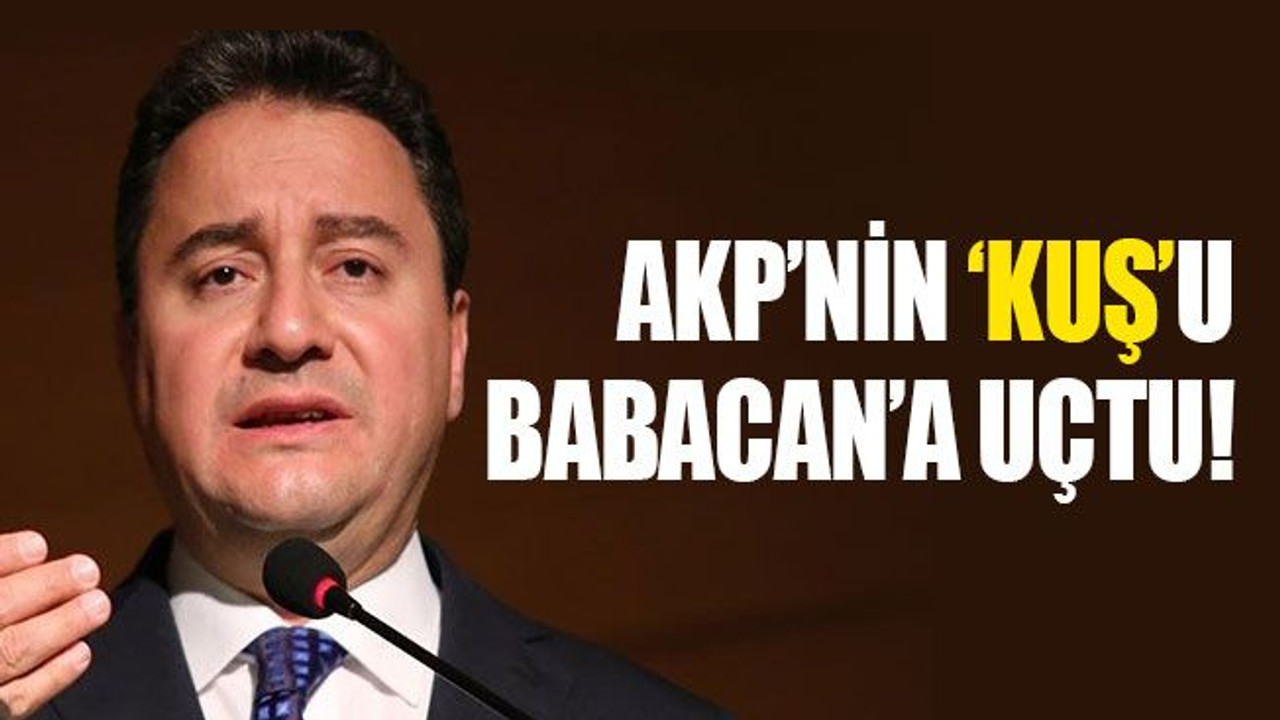 AKP’nin ‘Kuş’unu Babacan kaptı!