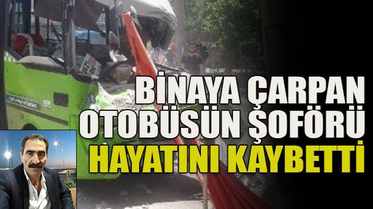 Binaya çarpan otobüsün şoförü hayatını kaybetti