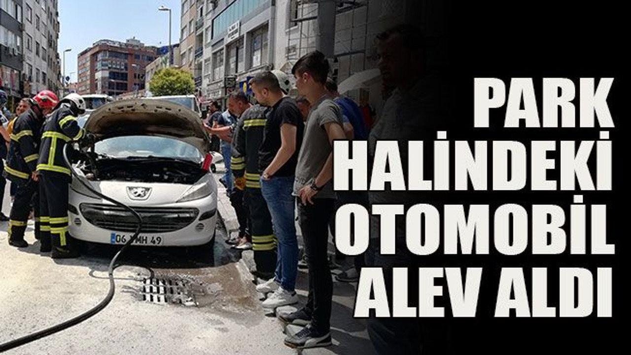 Park halindeki otomobil alev aldı