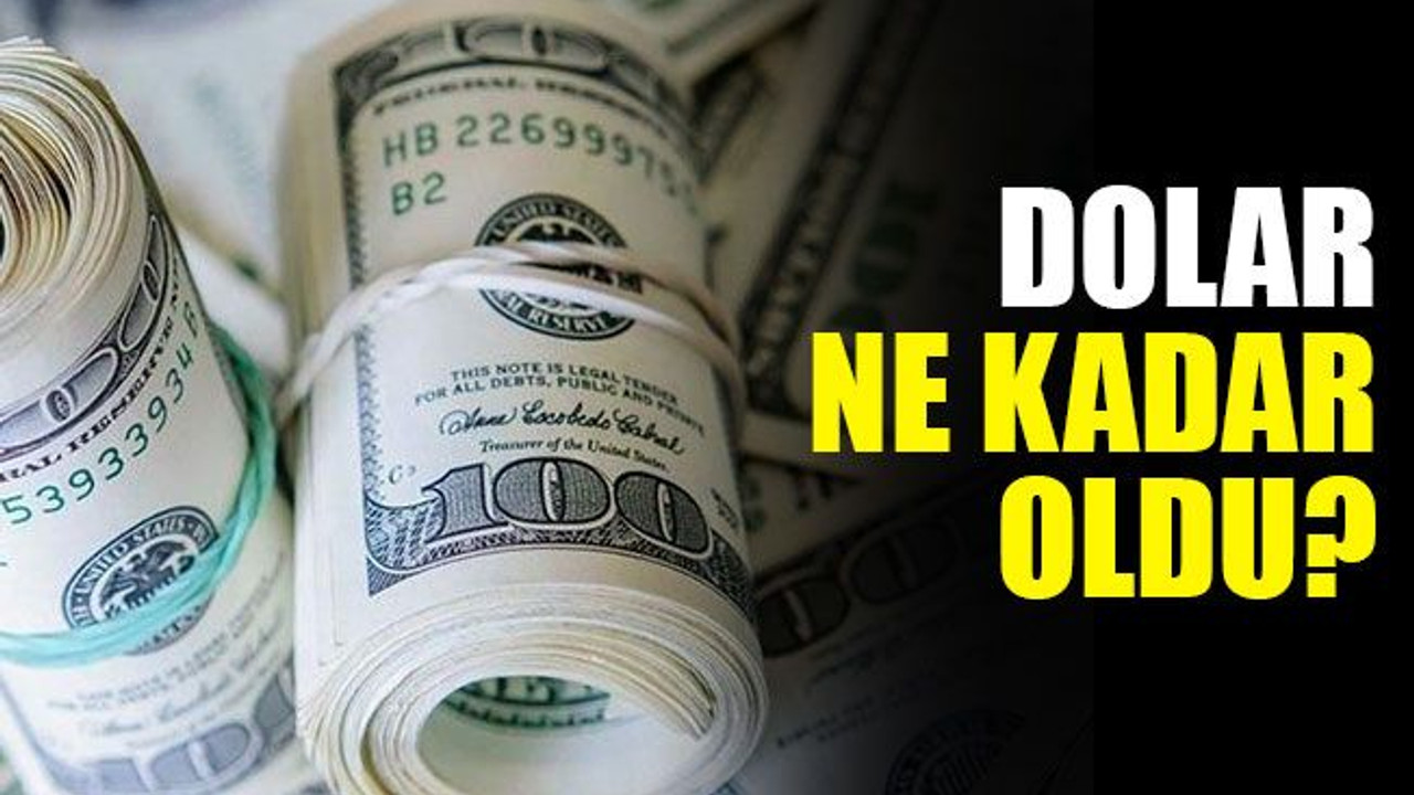 Dolar, ne kadar oldu? (22.07.2019)