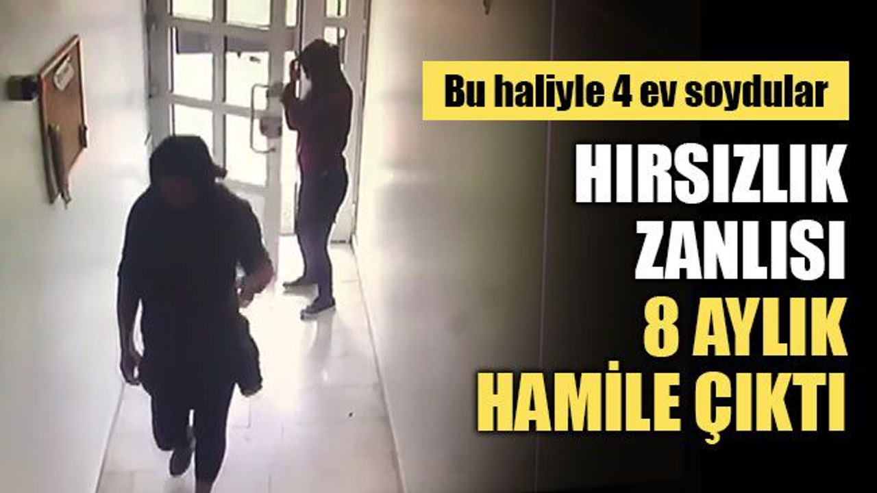 Hırsızlık zanlısı, 8 aylık hamile çıktı