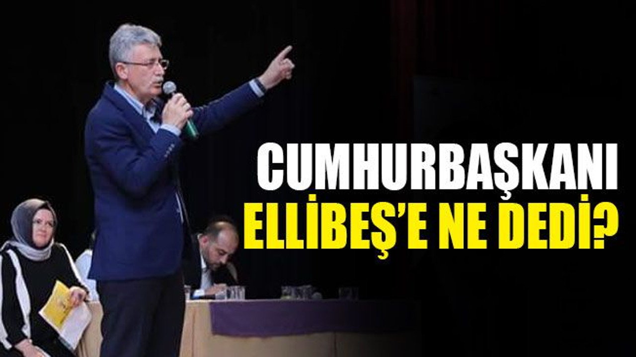 Cumhurbaşkanı, Ellibeş'e ne dedi?