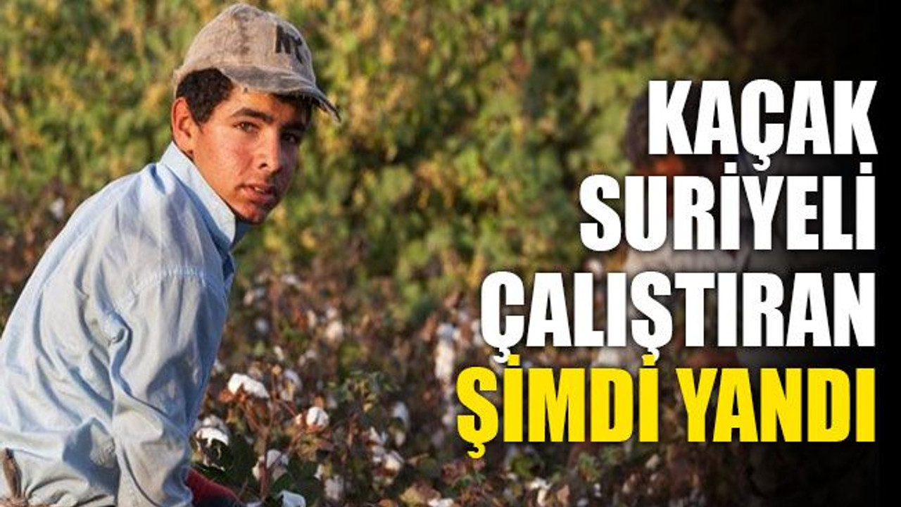 Kaçak Suriyeli çalıştıran şimdi yandı