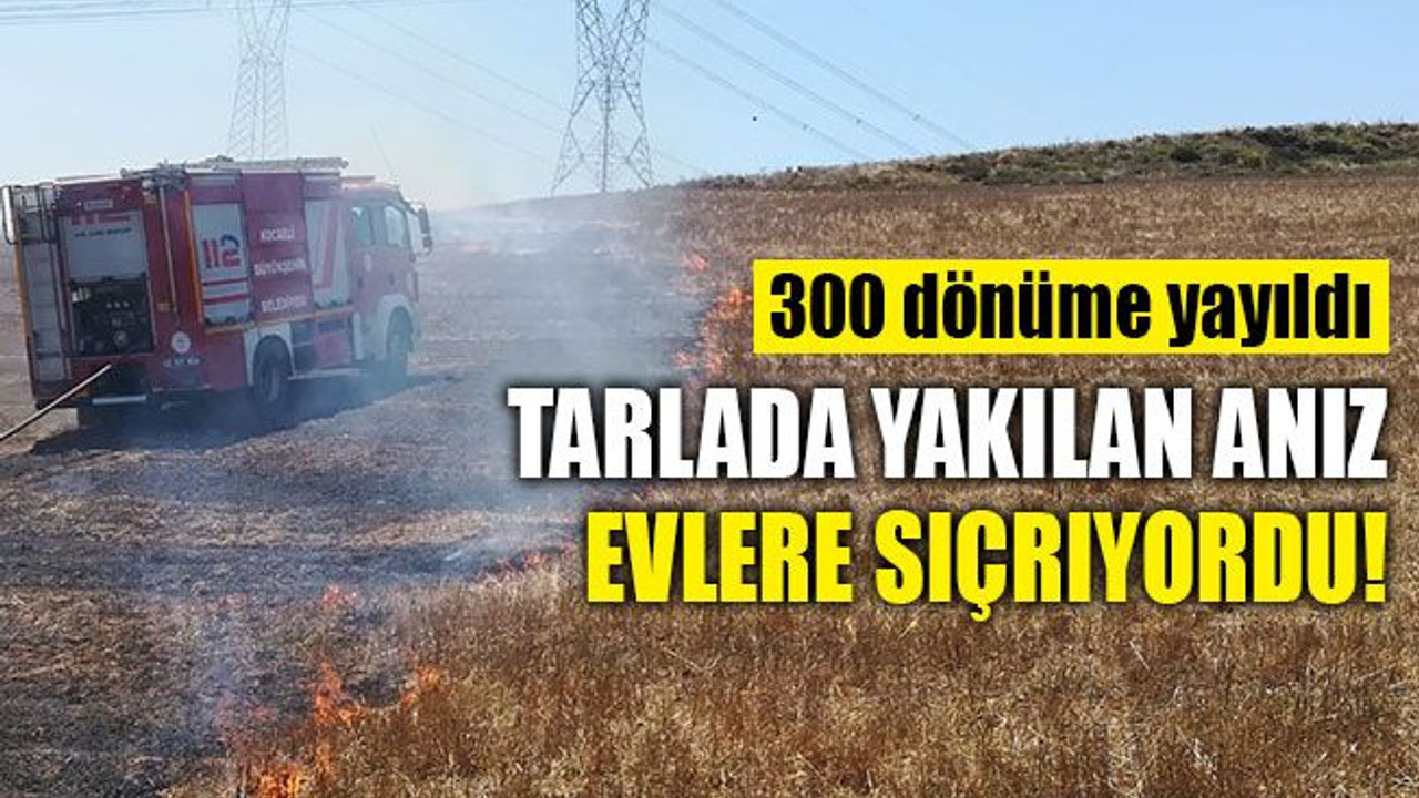Tarlada yakılan anız, evlere sıçrıyordu!