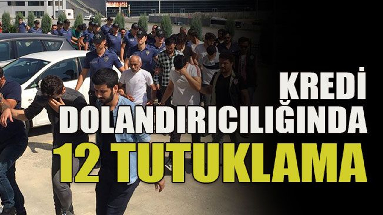 Kredi dolandırıcılığında 12 tutuklama