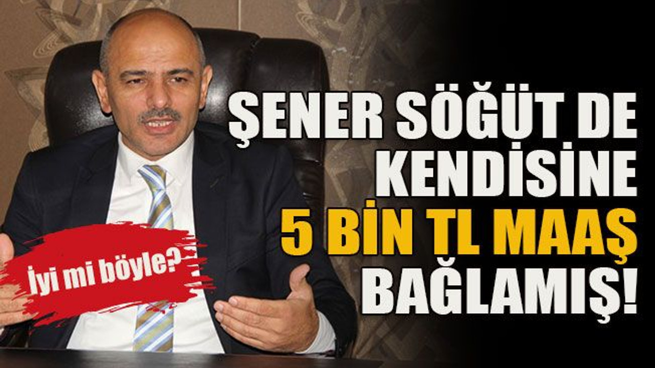 İyi mi böyle? Şener Söğüt de kendisine 5 bin TL maaş bağlamış!