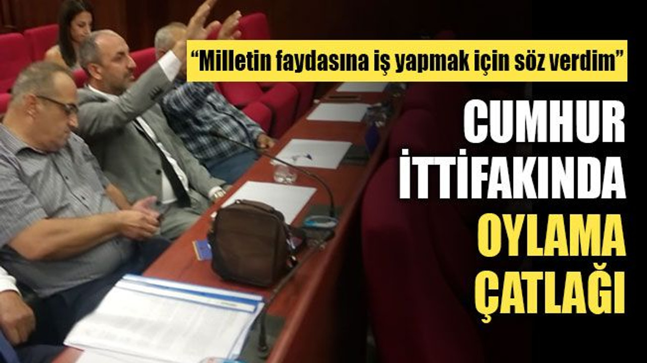 Cumhur ittifakında oylama çatlağı