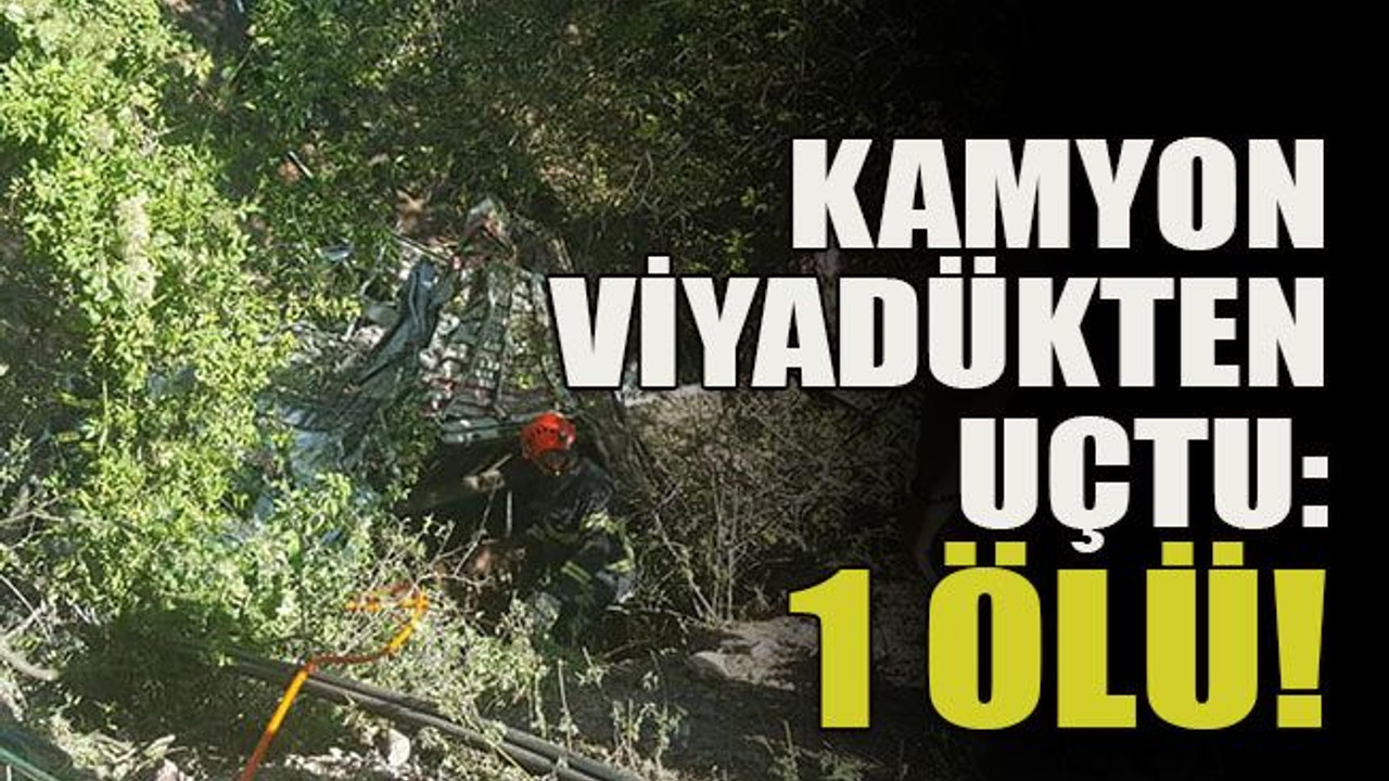 Kamyon viyadükten uçtu: 1 ölü!