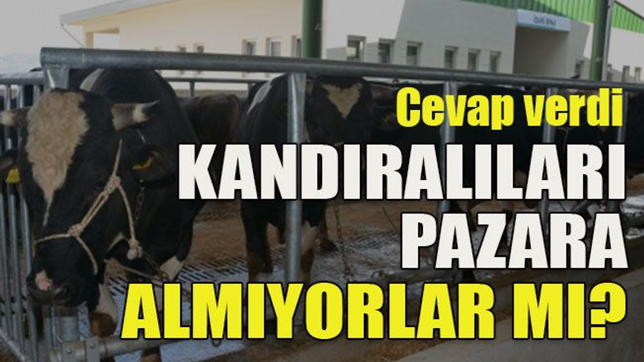 Cevap verdi Kandıralıları pazara almıyorlar mı?