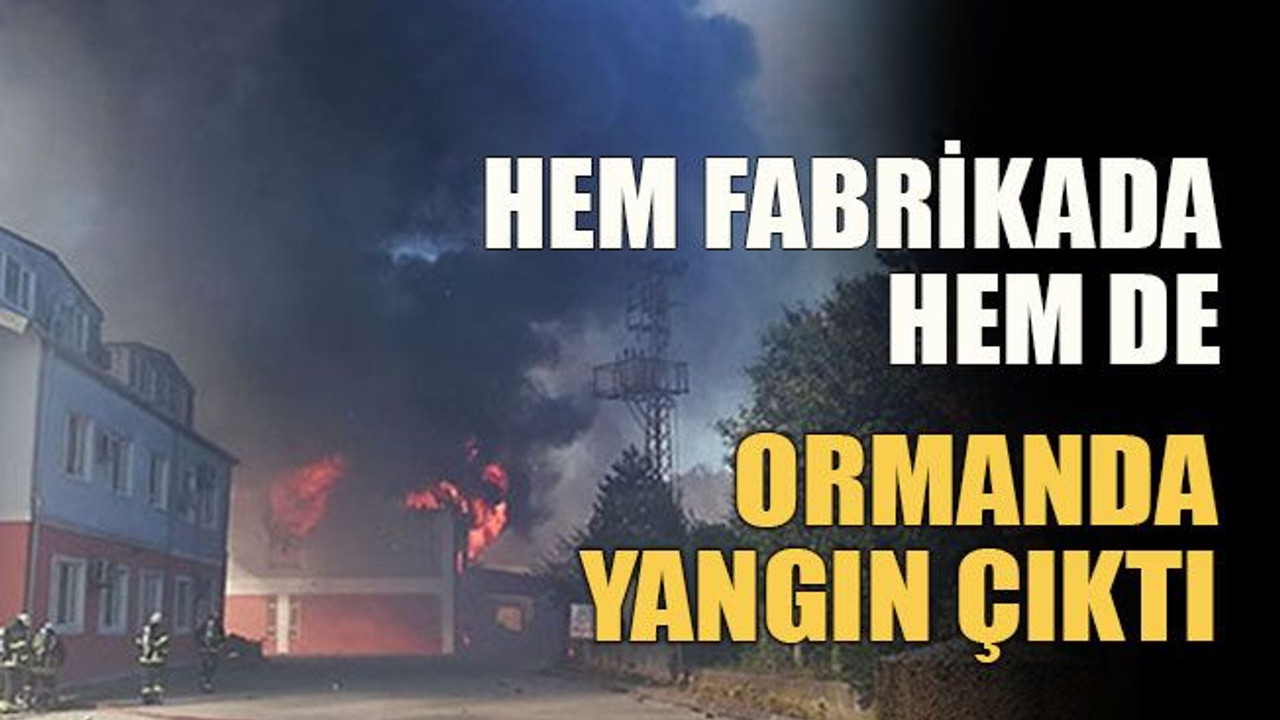 Hem fabrikada hem ormanda yangın çıktı