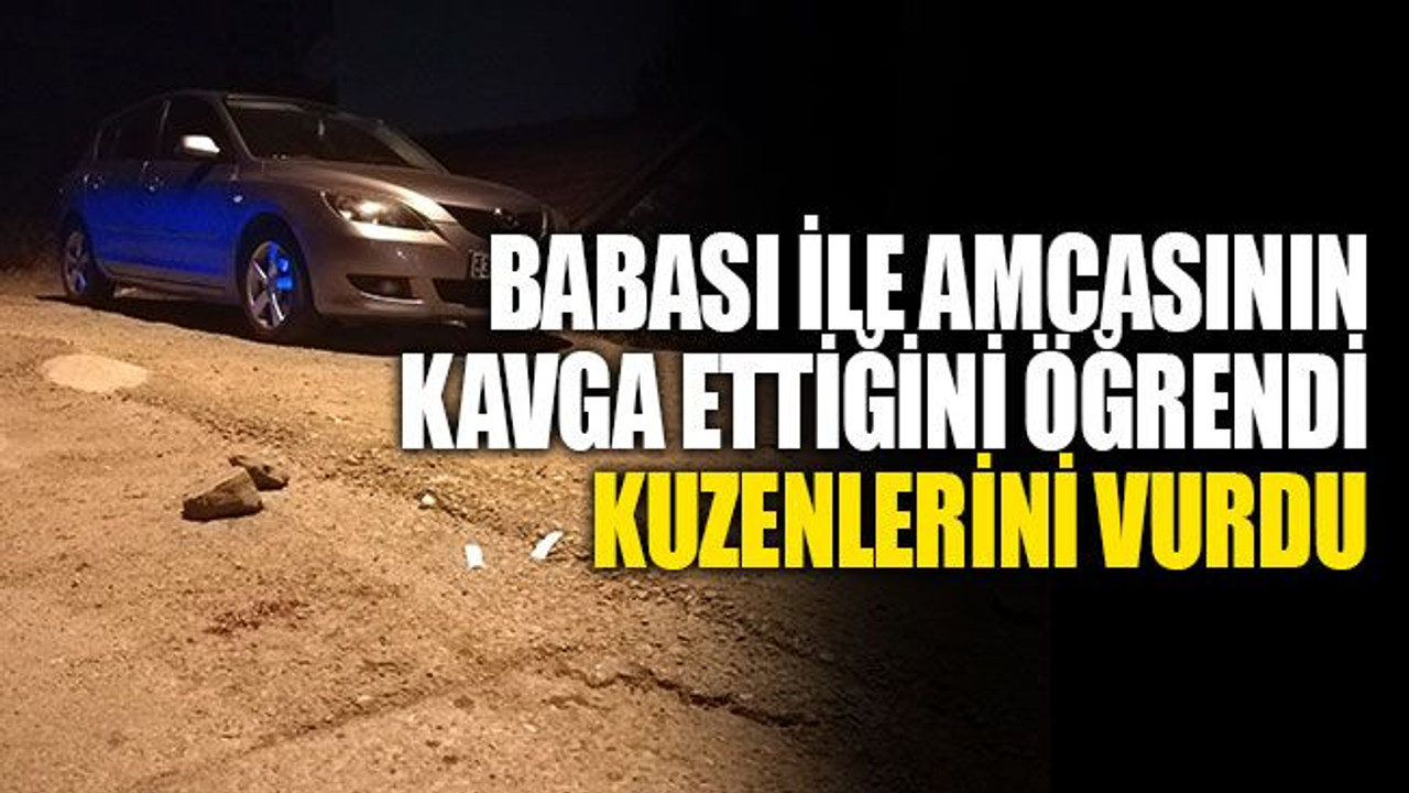 Babası ile amcasının kavga ettiğini öğrendi, kuzenlerini vurdu