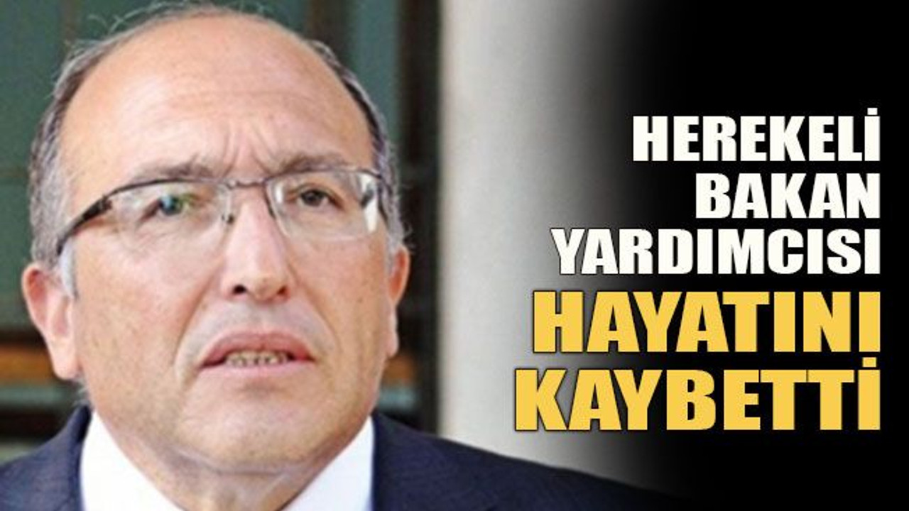 Herekeli Bakan yardımcısı hayatını kaybetti