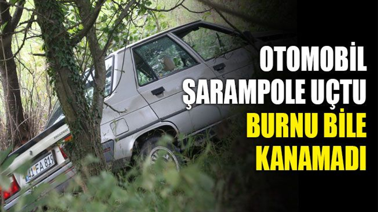 Otomobil şarampole uçtu, burnu bile kanamadı