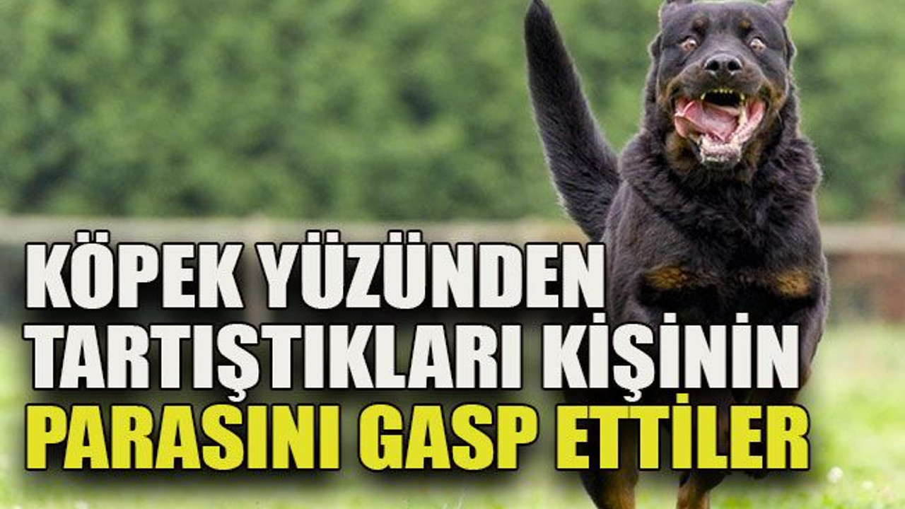 Köpek yüzünden tartıştıkları kişinin parasını gasp ettiler