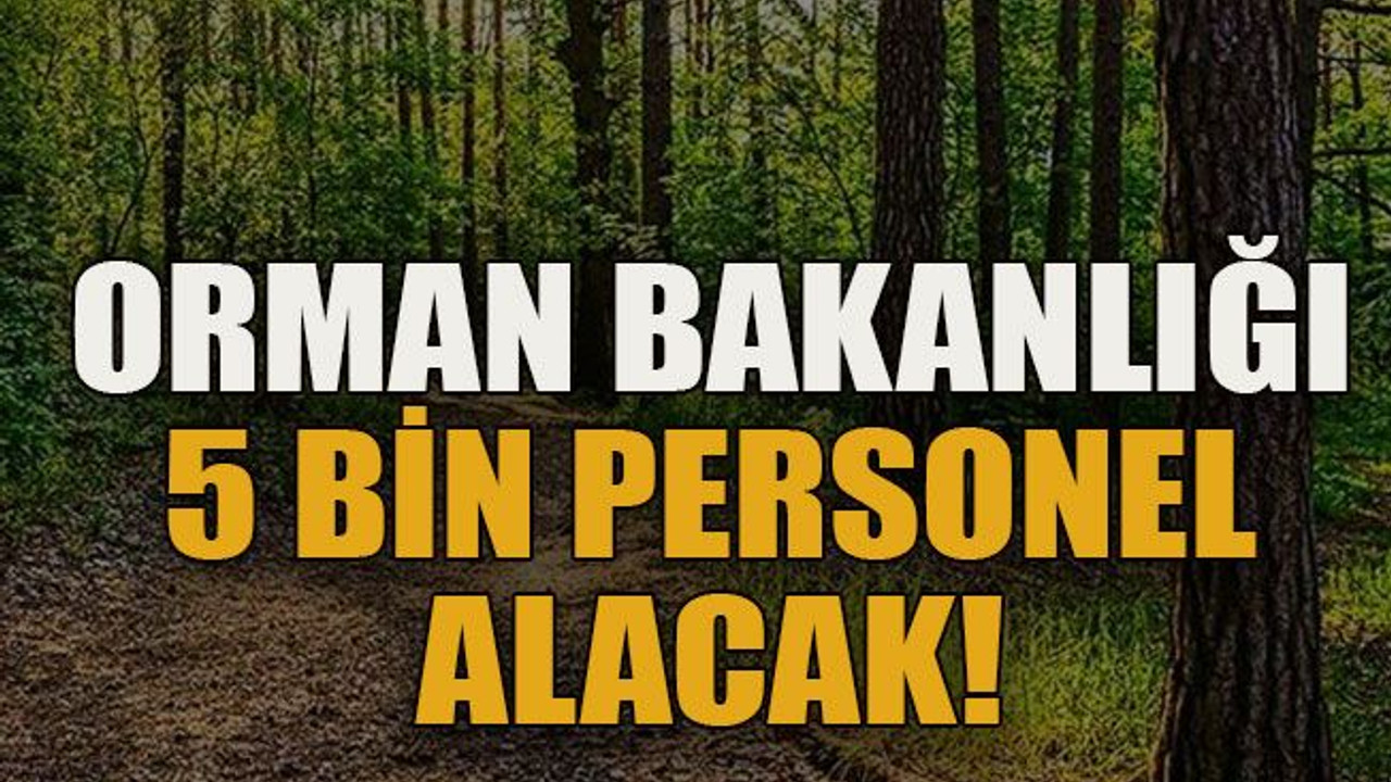 Orman Bakanlığı 5 bin personel alacak!