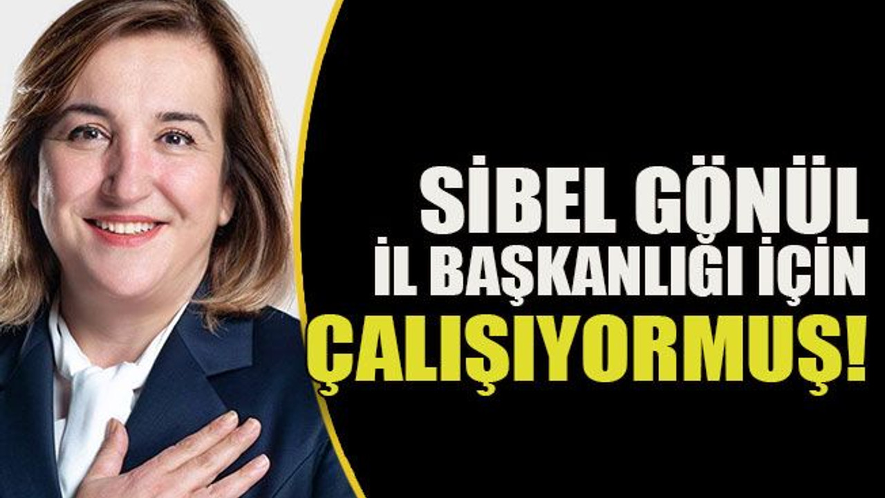 Sibel Gönül il başkanlığı için çalışıyormuş!