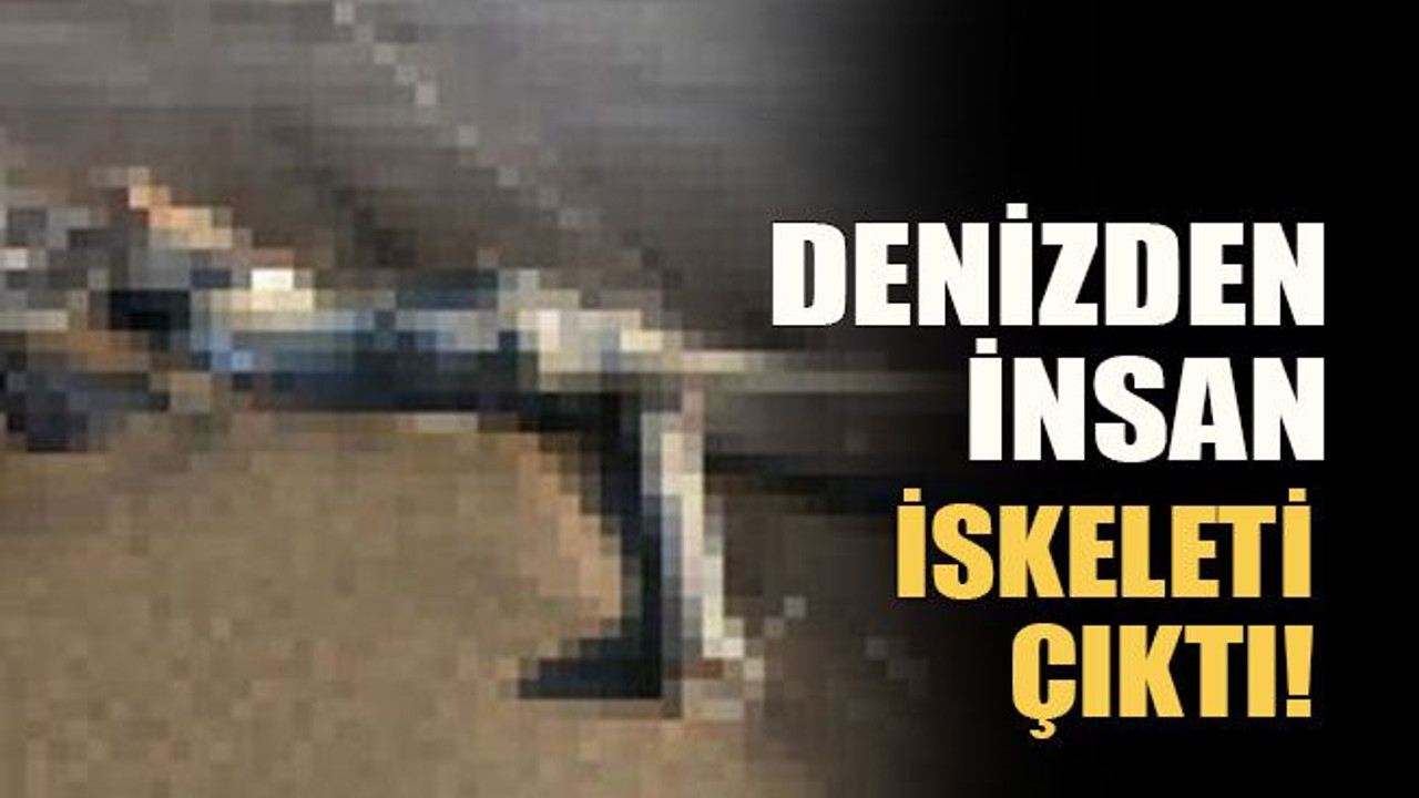 Denizden insan iskeleti çıktı!