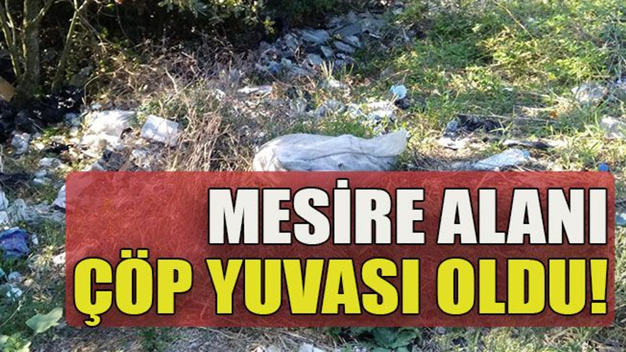 Mesire alanı çöp yuvası oldu!