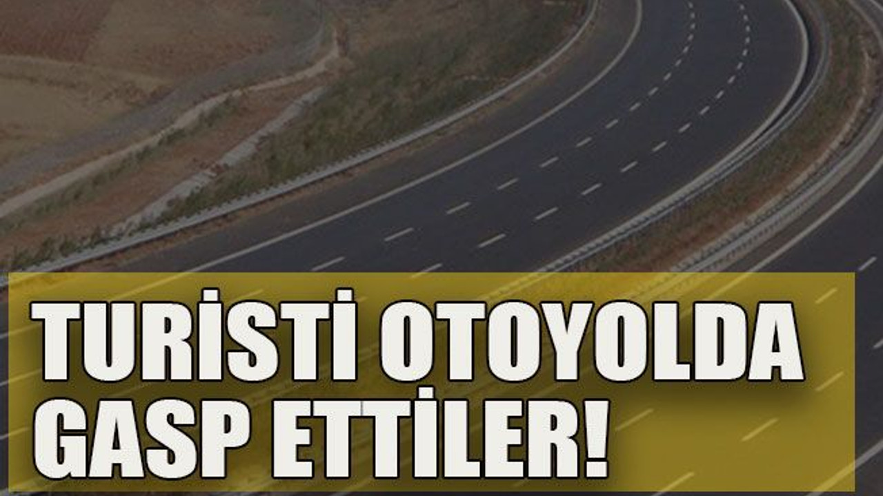 Turisti otoyolda gasp ettiler!