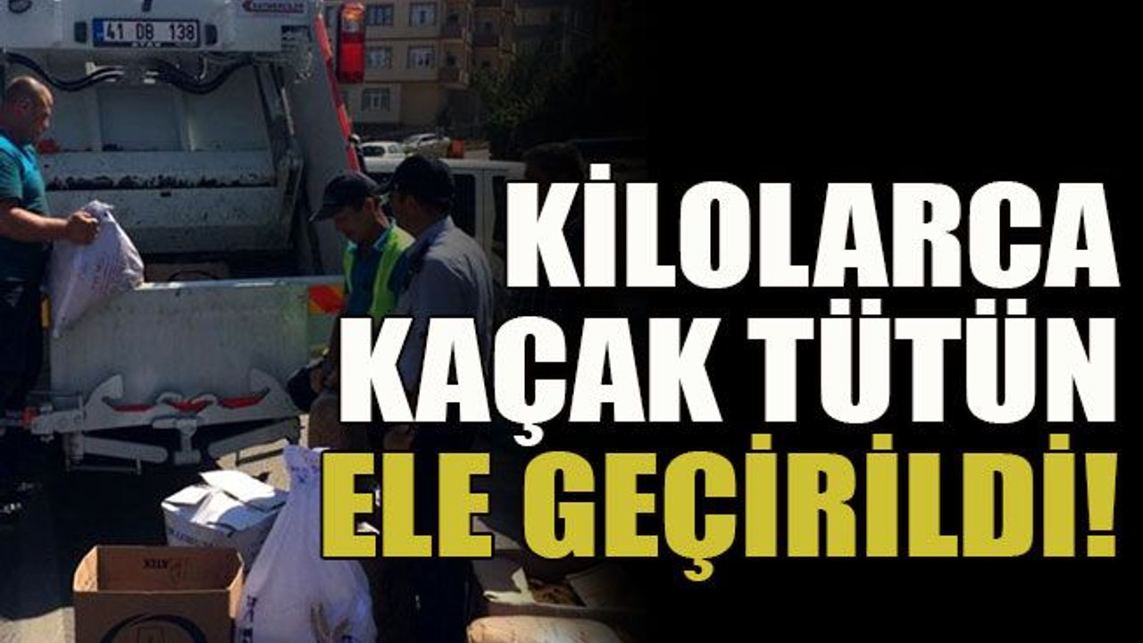 Kilolarca kaçak tütün ele geçirildi!