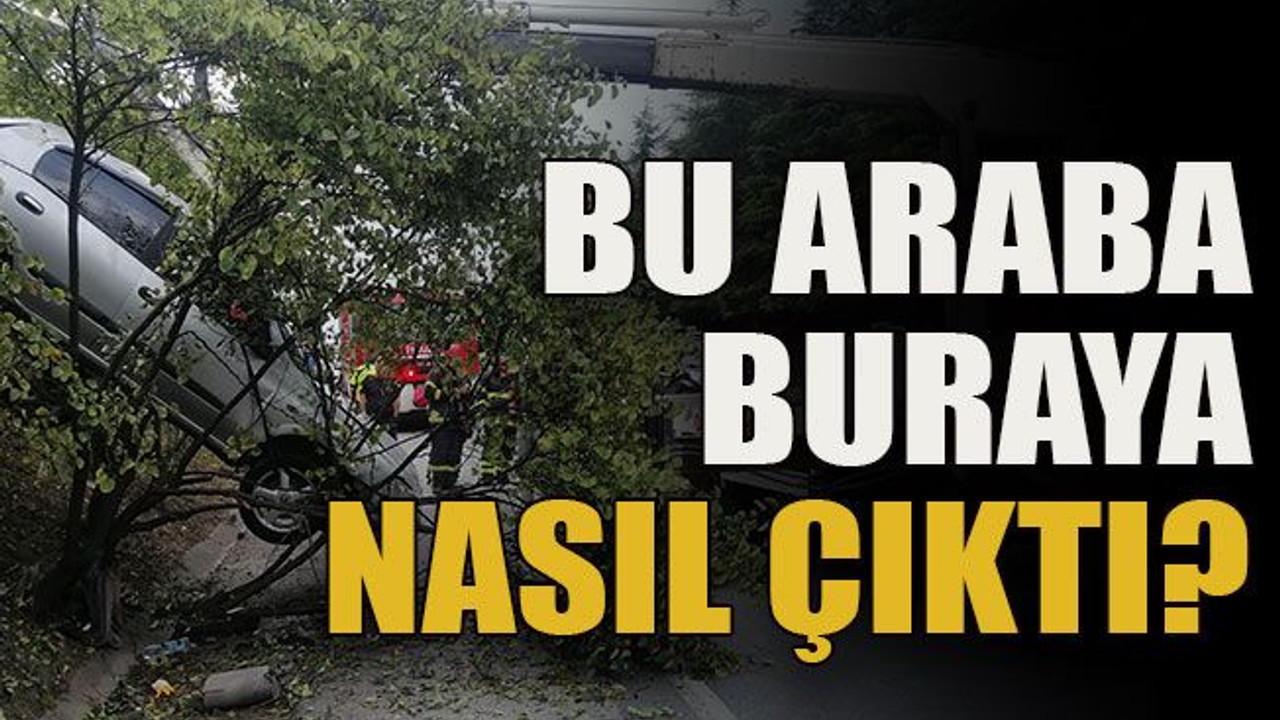 Bu araba buraya nasıl çıktı?