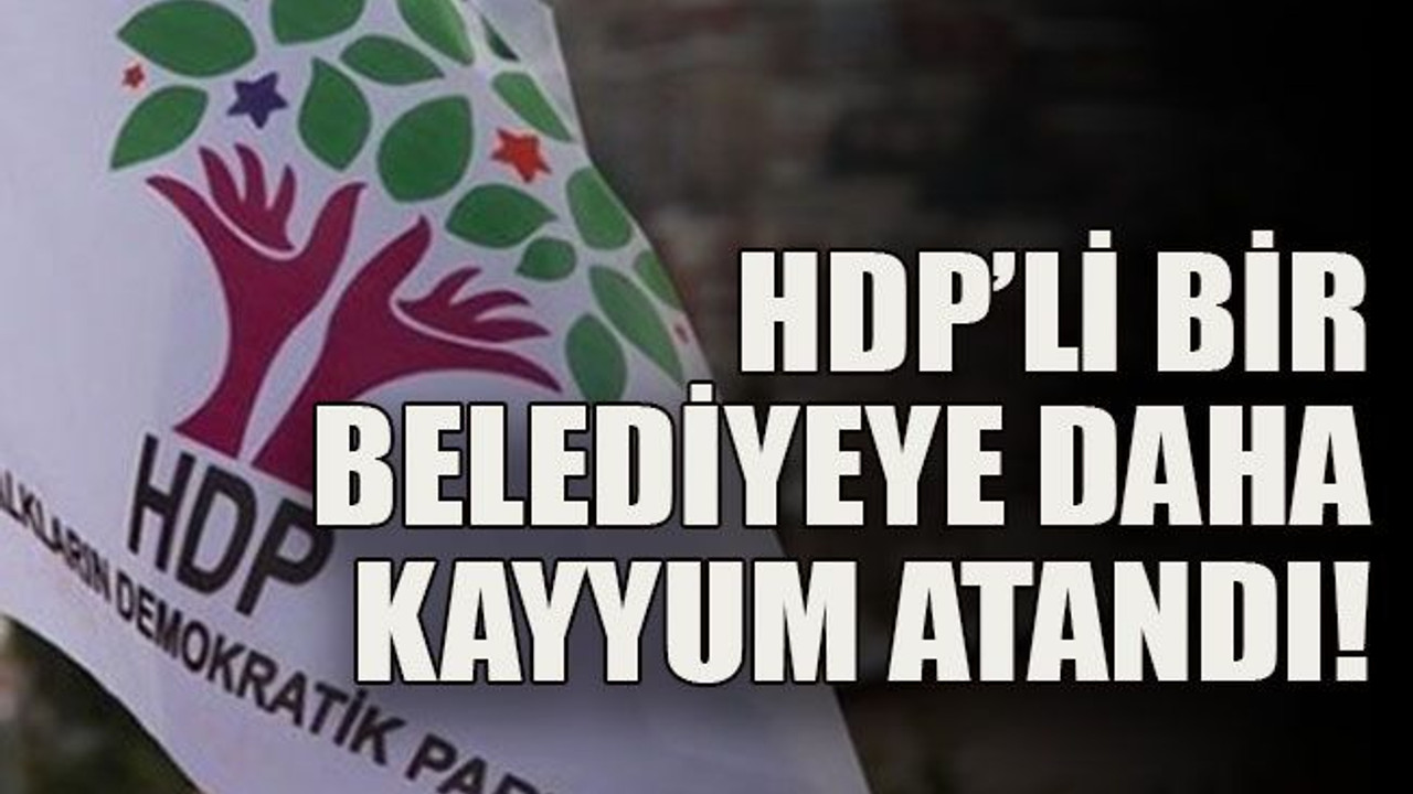 HDP’li bir belediyeye daha kayyum atandı!
