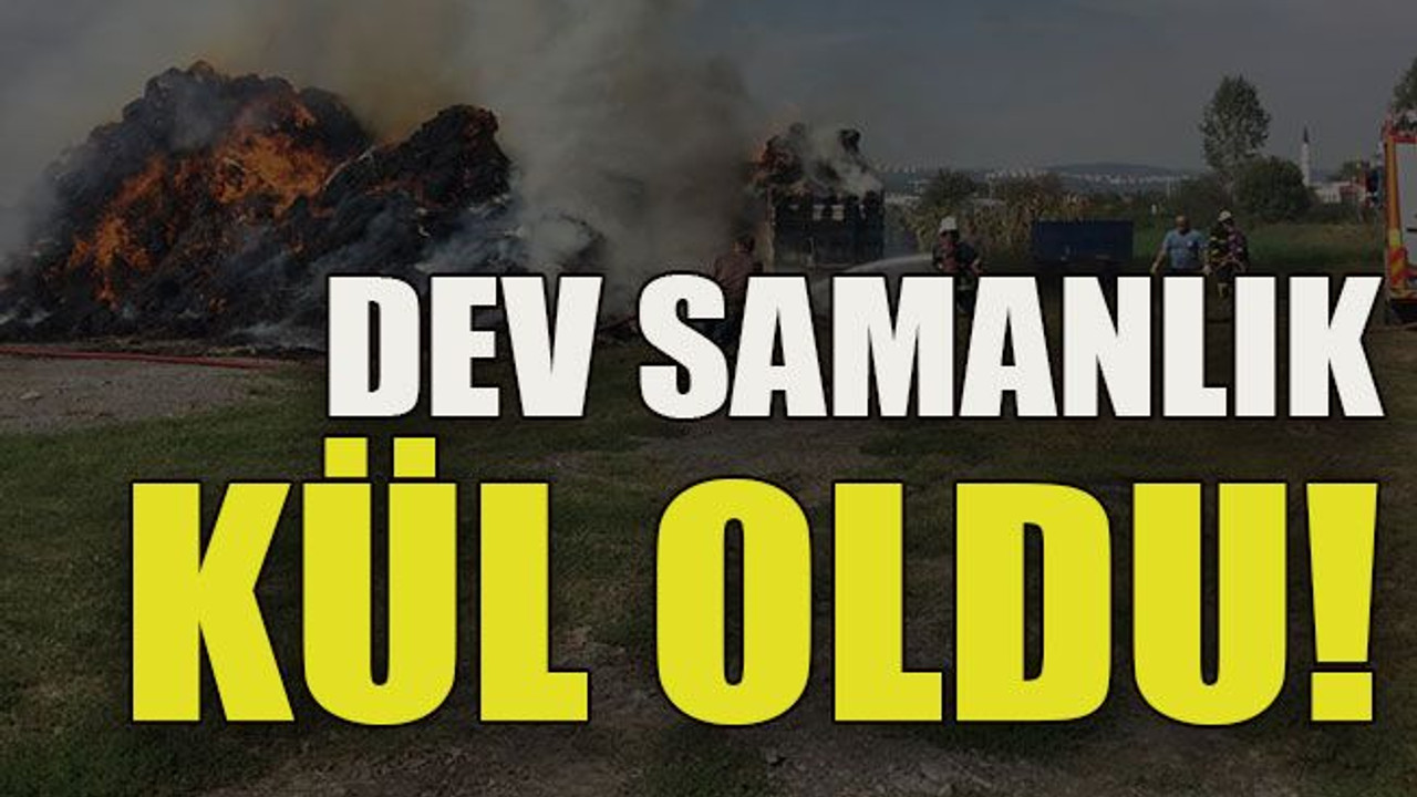 Dev samanlık kül oldu!