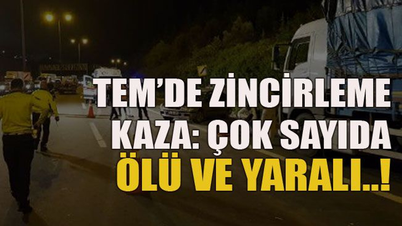Zincirleme kaza: Çok sayıda ölü ve yaralı..!