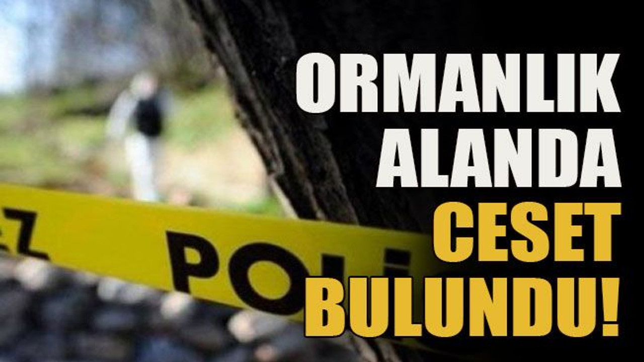 Ormanlık alanda ceset bulundu!