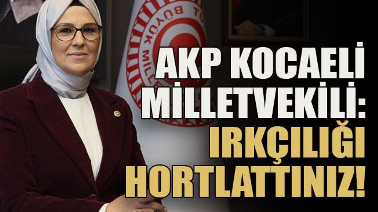 AKP Kocaeli Milletvekili: Irkçılığı hortlattınız!