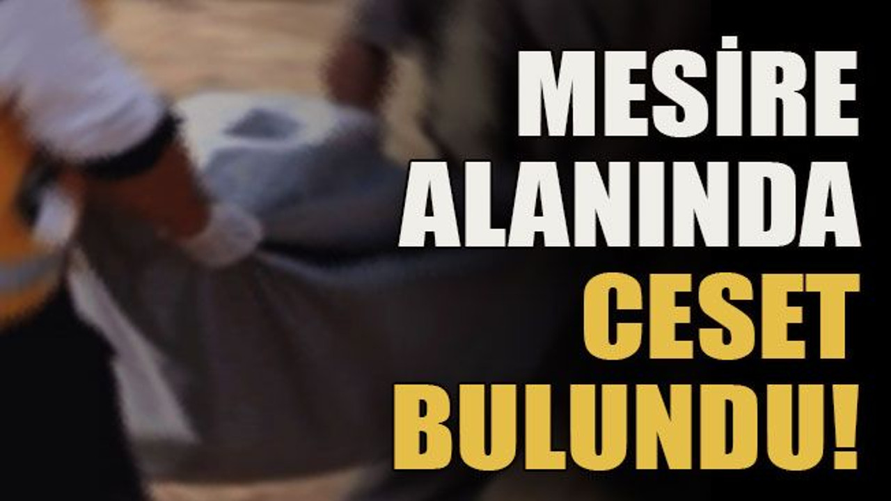 Mesire alanında ceset bulundu!